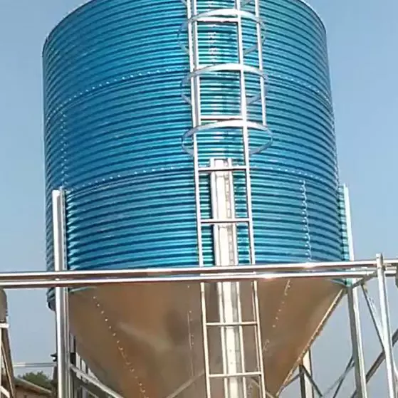 养猪自动化设备料塔料线 自动喂料料线生产厂